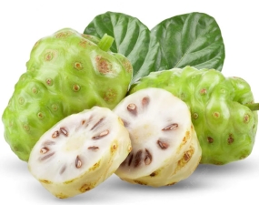 SẢN PHẨM TỪ TRÁI NHÀU