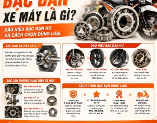 Bạc Đạn Xe Máy Là Gì? Dấu Hiệu Bạc Đạn Hư Và Cách Chọn Đúng Loại